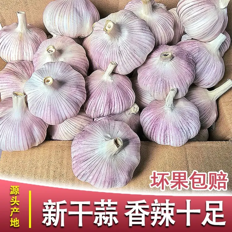 【农家干蒜】2025正宗紫白皮大蒜新鲜干蒜5斤农产品生鲜特产3斤9斤