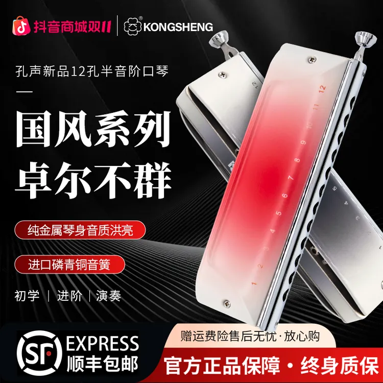 孔声国风渐变盖板12孔半音阶口琴成人用新手初学进阶专业演奏乐器