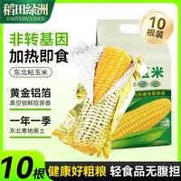 稻田绿洲低脂东北黄糯玉米真空包装新鲜代餐粗粮饱腹
