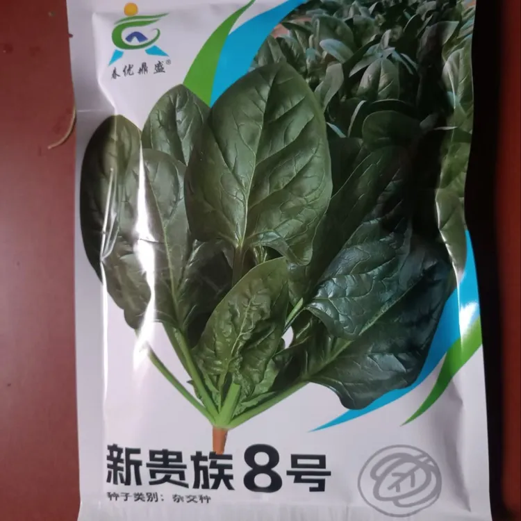 新贵族8号红根杂交大叶菠菜种子大田春秋菠菜籽种子蔬菜波菜子种