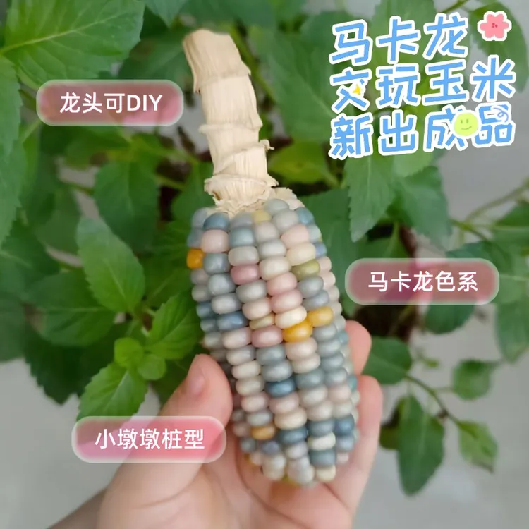 文玩玉米精修成品一颗马卡龙可爱玉米手把件不带花托龙头可DIY