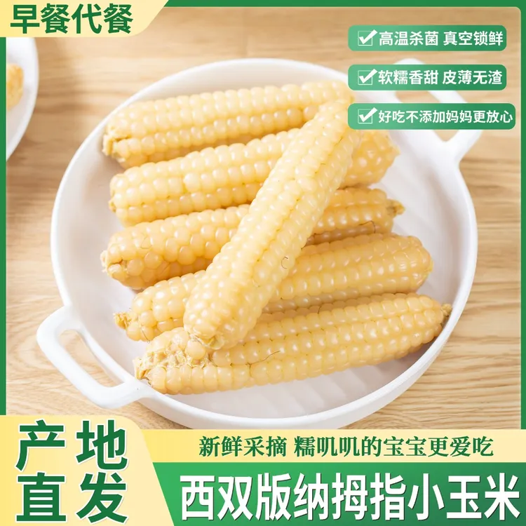 云南版纳拇指玉米香糯小玉米傣家宝宝老品种粘糯手指玉米软糯香甜