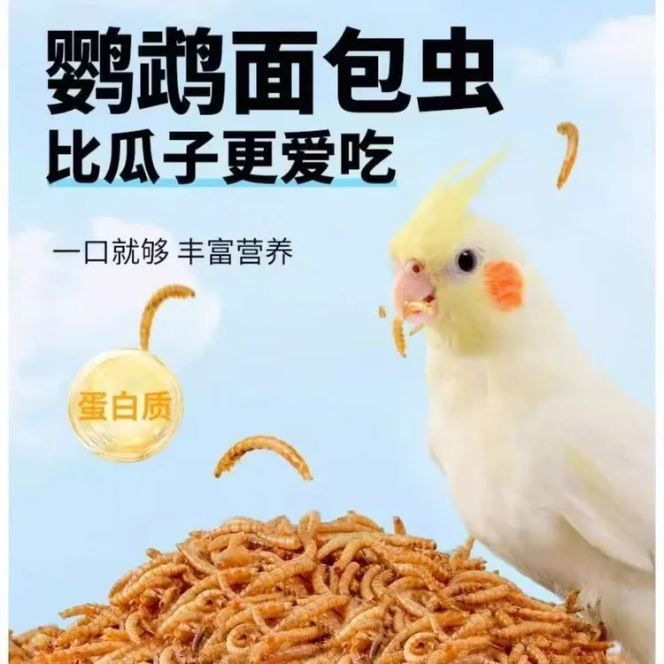 鹦鹉适用面包虫干黄粉虫干高蛋白饲料零食无盐活体饲料通用粮食