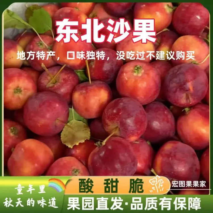 东北沙果特产黄太平海棠果沙果红海棠新鲜应季孕妇水果酸甜包邮