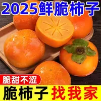 新鲜采摘阳丰巧克力脆甜柿子当季应季水果口感脆甜