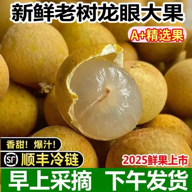 顺丰广东新鲜龙眼现摘储良石龙眼储良石硖广州当季桂圆整箱批发价