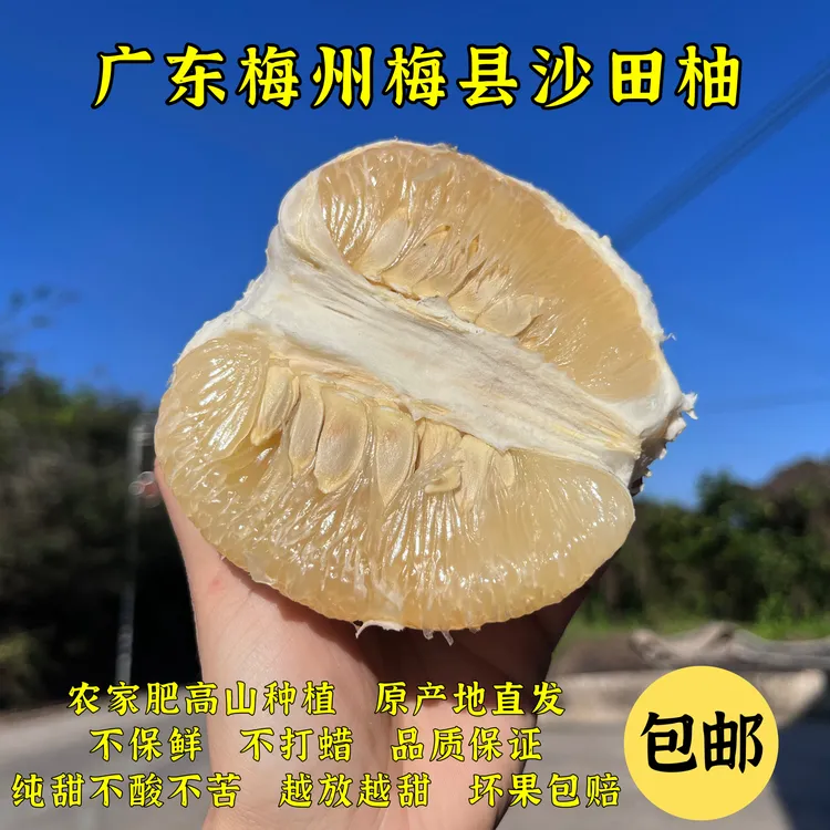 【花皮果】正宗梅州沙田柚子产地直发纯甜无酸老树白肉柚子新鲜水果
