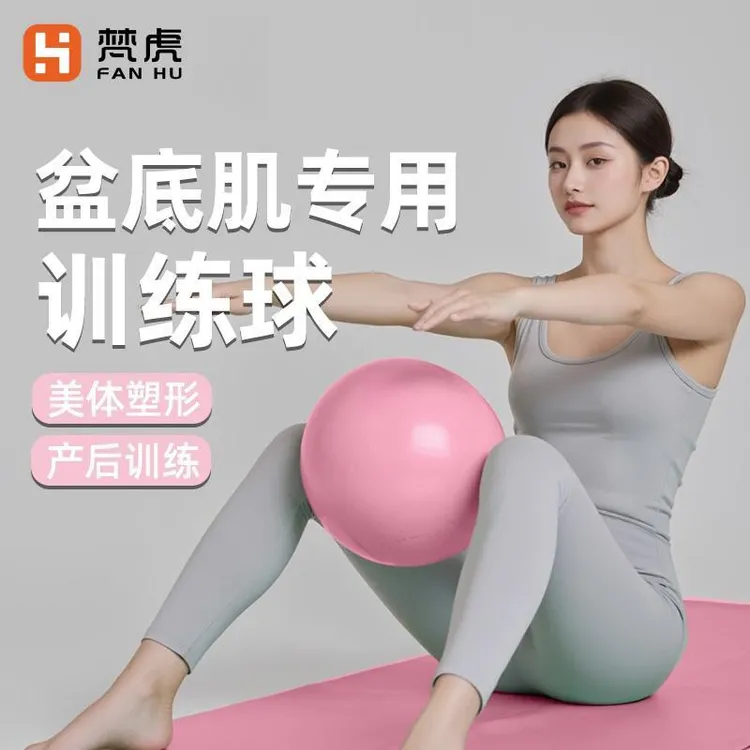 瑜伽球成人专用孕妇盆底肌女健身俞珈防爆普拉提小球20cm瑜伽器材
