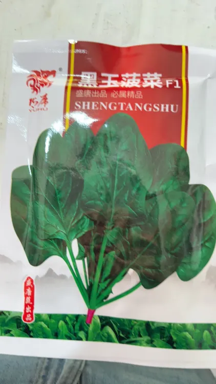 肉厚.叶色深绿色.味甜糯