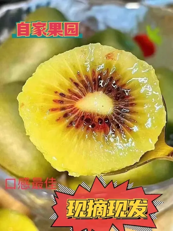 雅安红心猕猴桃新鲜奇异果大果当季水果孕妇小孩都爱吃整箱包邮