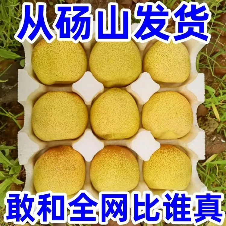 （砀山直发）安徽砀山酥梨砀山梨子新鲜水果当季现摘现发批发