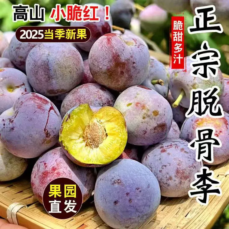 【高山脱骨脆红李2500克】翠红脱骨李脆甜多汁爽口肉厚爽脆新鲜现摘