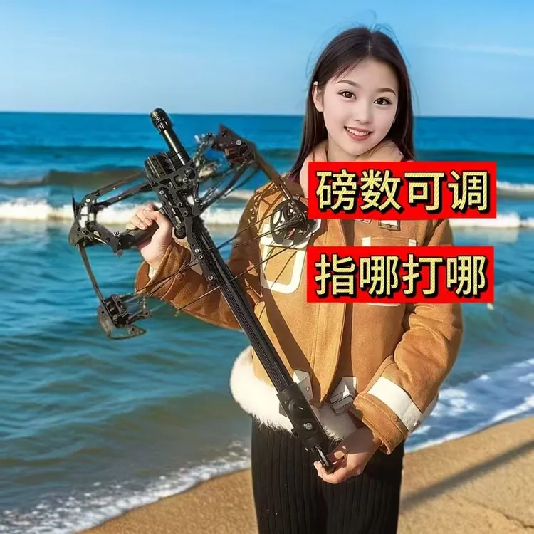 猛禽复合弓连发可调磅数高精准户外竞技体育器材