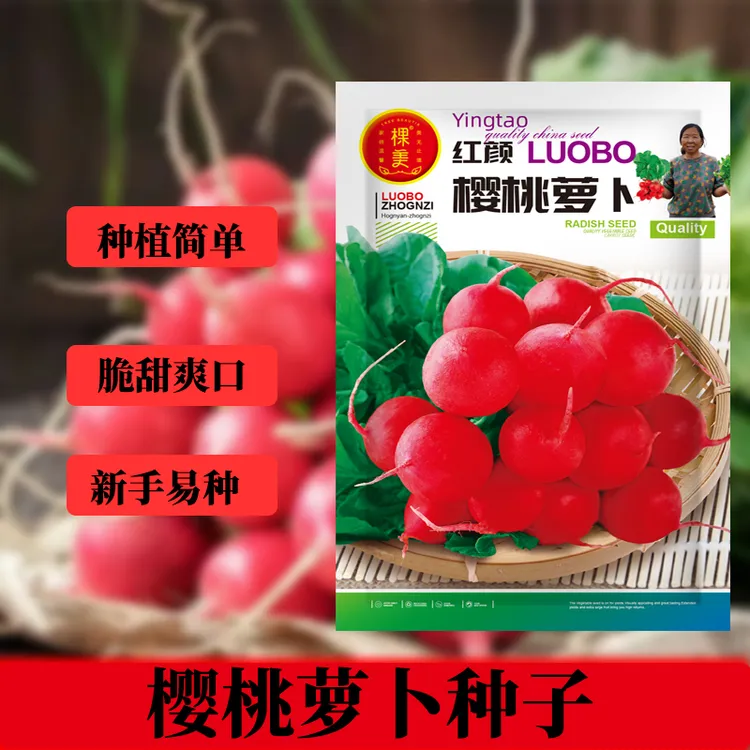 水果樱桃萝卜种子红白小萝卜耐热寒阳台盆栽蔬菜大全