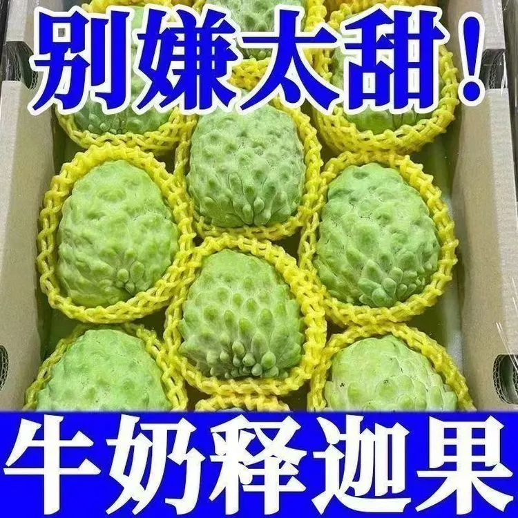 【助农活动，纯甜无酸，孕妇宝妈首选】广西牛奶凤梨释迦果番荔枝大果