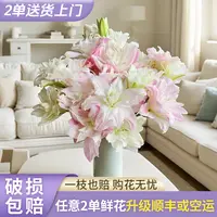 【源头优选】莲花春天重瓣百合云南直发鲜花家居水养插花鲜切花