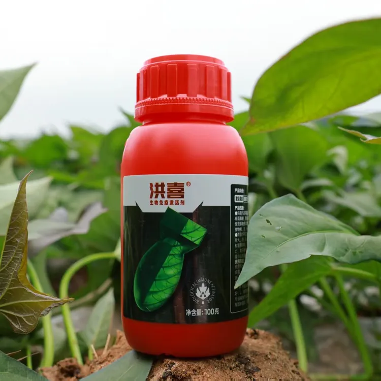 小麦促分蘖壮根壮苗抗寒抗冻100克洪喜2亩地