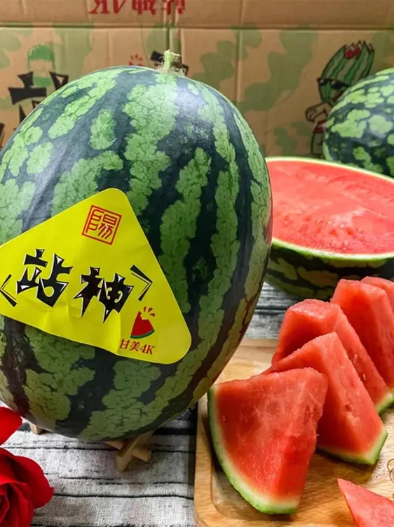 战神/盘个瓜甘美西瓜，脆甜爆汁,甜度好,瓜味浓.甘美西瓜6斤大果