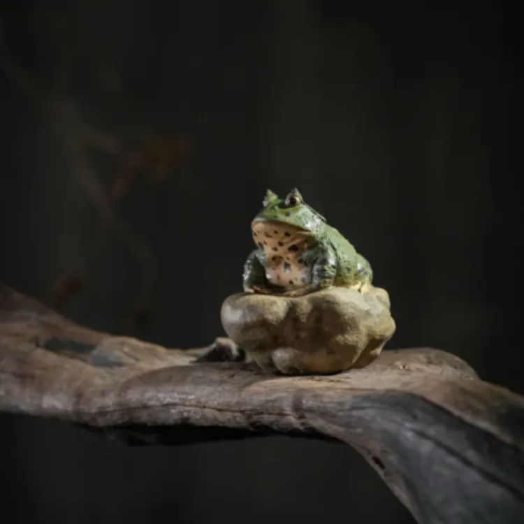 宜兴紫砂茶宠望月蟾