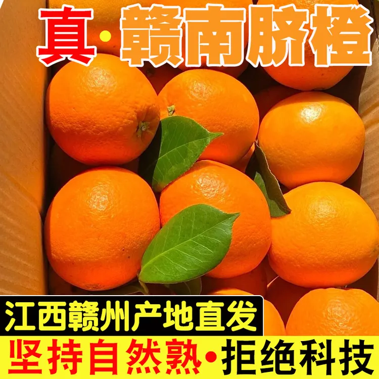 正宗江西赣州橙子10斤装大果孕妇当季新鲜花皮榨甜水果汁产地直发
