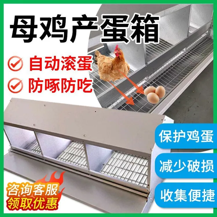 自动滚蛋式鸡笼收纳箱散养鸡下蛋窝遮风挡雨防鸡吃蛋神器家用商用