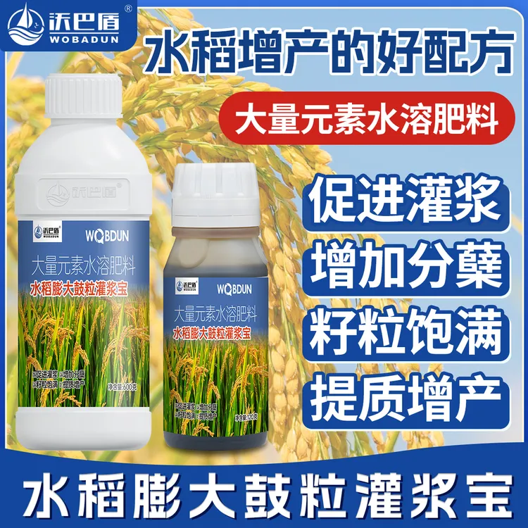 水稻膨大鼓粒灌浆宝快速灌浆促进分蘖生根壮速返青叶面肥