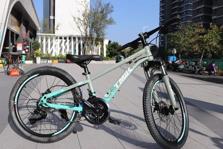 天迈20/22寸开心龙21双变速，高性价比