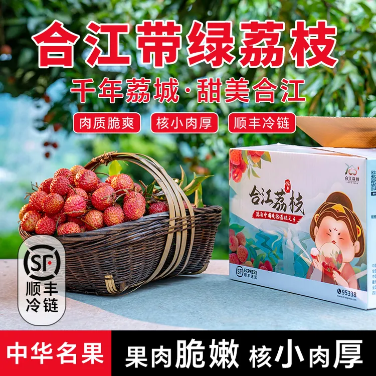 【冷链运输】奥运名果晚熟荔枝合江带绿新鲜现摘核小肉厚川渝包邮