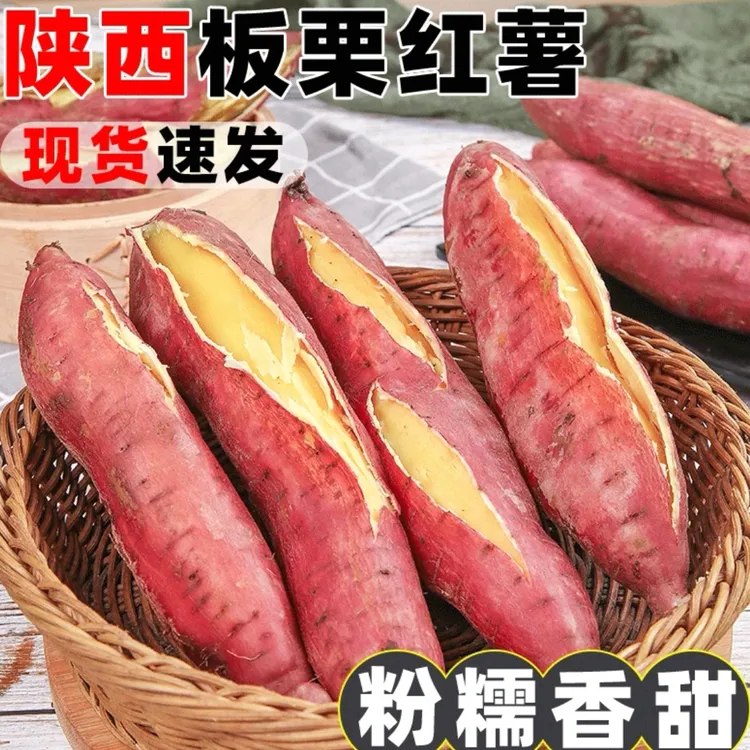 陕西板栗红薯干面粉甜烤地瓜烟蜜薯粗粮糖心蜜薯沙地种植