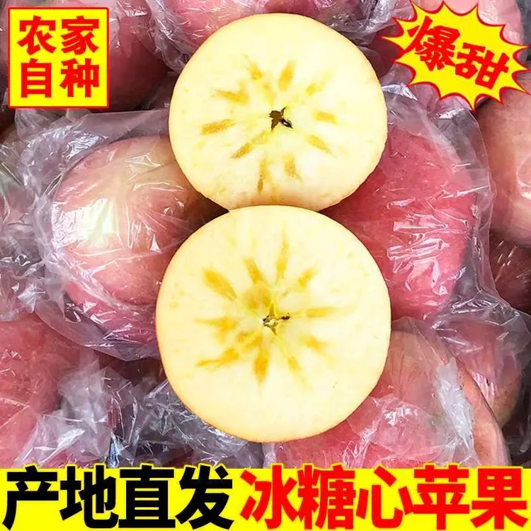 老品种山西冰糖心丑苹果 冰糖心红富士新鲜脆甜苹果皮薄多汁水果