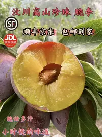 【顺丰京东】四川汶川高山脱骨李子脆红李新鲜采摘包邮脆李现摘现发