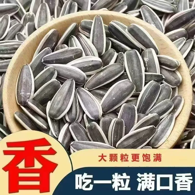 内蒙363新货原味大颗粒生熟瓜子原味大瓜子葵花籽瓜子现炒熟瓜子