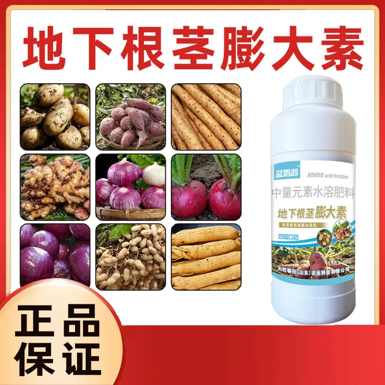 蓝鹦鹉地下根茎膨大剂土豆红薯马铃薯大蒜大姜药材块茎作物通用肥