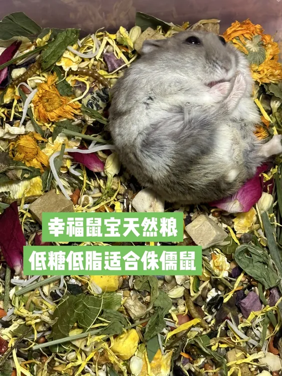 幸福鼠宝天然营养粮侏儒仓鼠精准配方专用粮