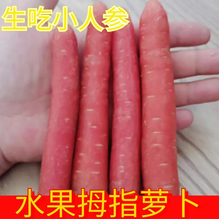 【可生吃】正宗秤杆小红萝卜沙地现挖现发小人参水果萝卜新鲜蔬菜