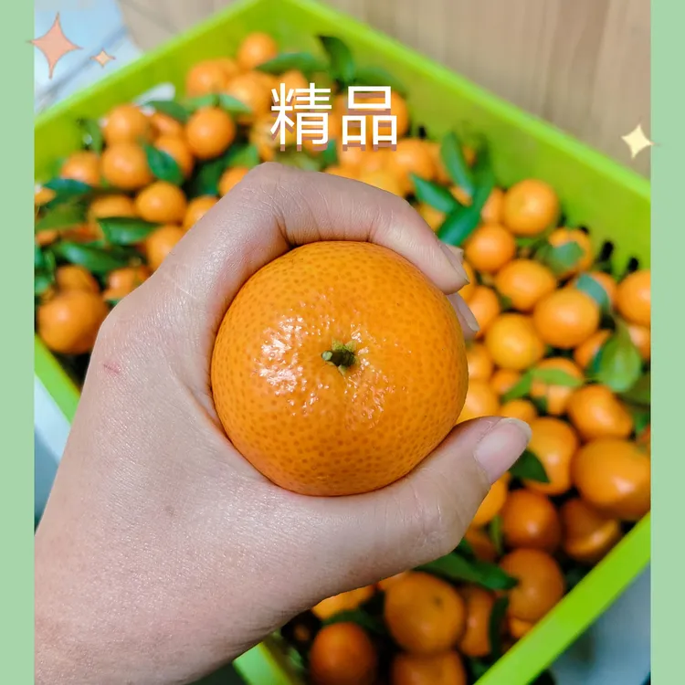 正宗广西应季水果西林沙糖橘精品（精装纸箱）砂糖橘