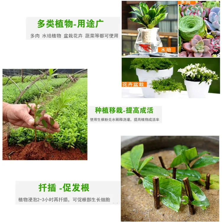 快速生根粉树木生根剂植物果树苗木移栽种植生根水壮苗剂发根剂