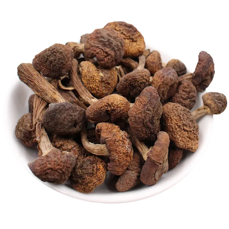 东北特产野生榛蘑丁干货500g小鸡炖蘑菇长白山臻蘑