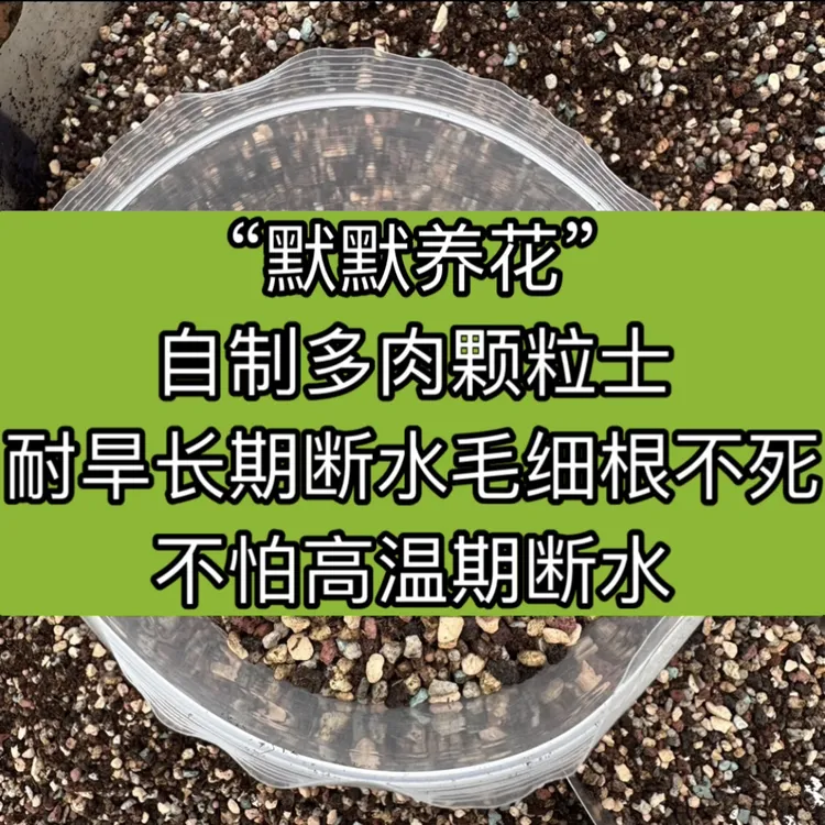 默默多肉植物专用颗粒土软硬结合