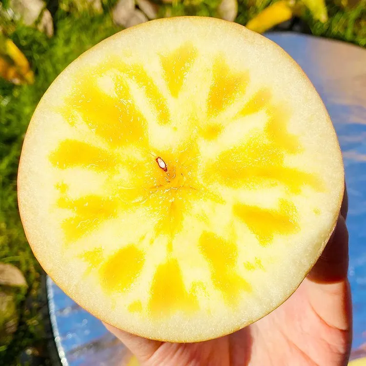 云南应季现摘正宗糖心丑苹果5/9斤礼盒装