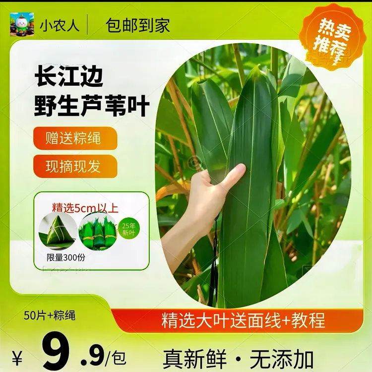 新鲜采摘安徽无为特产粽叶