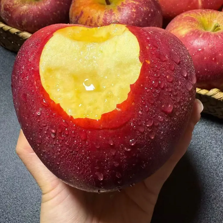 丽江泸沽湖特产宁蒗2700米海拔糖心苹果丑苹果现摘现发脆甜多汁