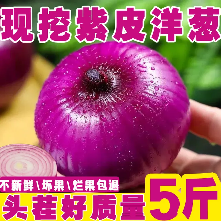 山东正宗紫皮样葱肉厚新鲜现挖水果洋葱生吃扁洋葱应季红皮圆葱