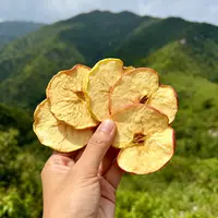 苹果干｜苹果成熟后就切片晾晒～暂且没货 （ 梅梅 ）