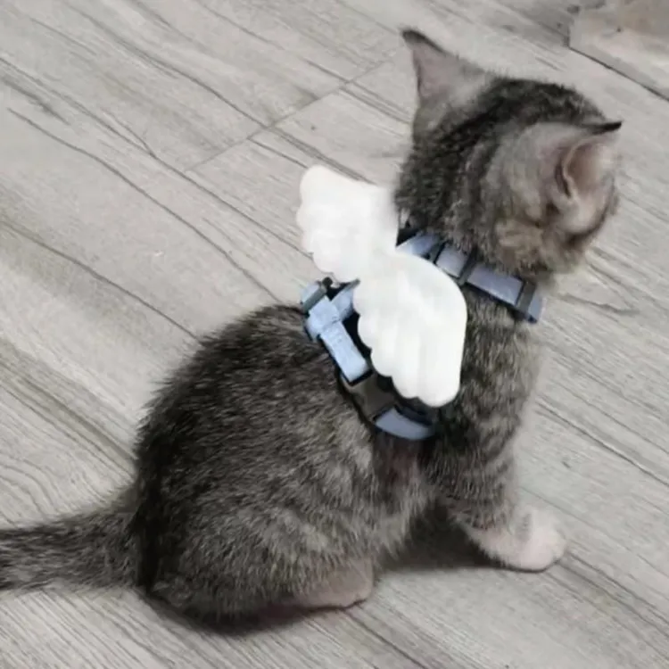 小猫咪牵引绳防挣脱可调节遛猫绳子蓝猫布偶狗狗外出遛狗宠物用品