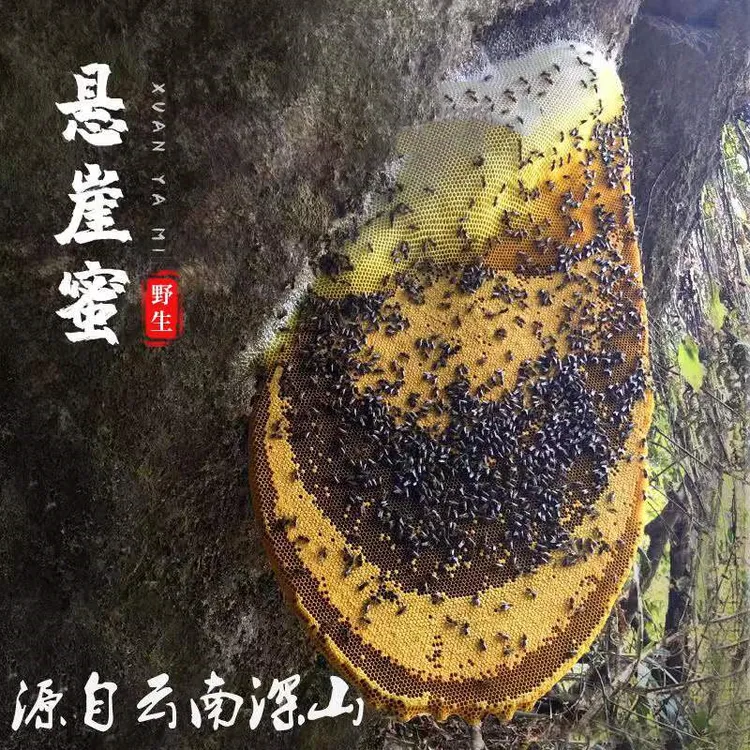 云南原始深林野生悬崖蜜 稀有 崖蜂蜜 岩蜜 500g包邮