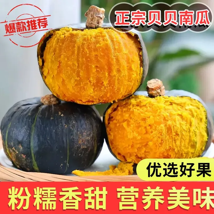 正宗新鲜板栗味小南瓜栗面老瓜宝宝孕妇贝贝南瓜板栗南瓜