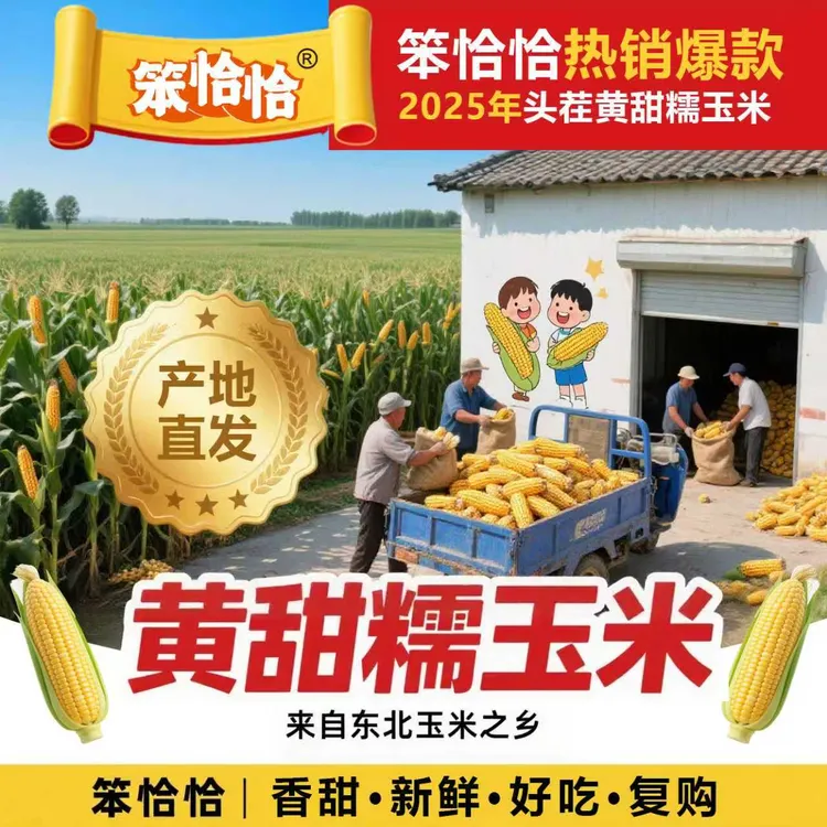 【试吃3根】25年东北头茬黄糯玉米10根/真空包装发货