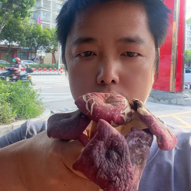 河南正宗野生菇头红菇，菌美味鲜美营养浓郁红菇