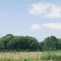 【福袋】拍下不发货 签名照片 卡套